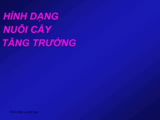Tính chất vi sinh học
HÌNH DẠNG
NUÔI CẤY
TĂNG TRƯỞNG
 