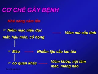 Cơ chế gây bệnh
CƠ CHẾ GÂY BỆNH
Khả năng xâm lấn
 Niêm mạc niệu dục
mắt, hậu môn, cổ họng
 Máu
 cơ quan khác
Viêm mủ cấp tính
Nhiễm lậu cầu lan tỏa
Viêm khớp, nội tâm
mạc, màng não
 