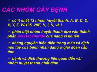 CÁC NHÓM GÂY BỆNH
 có ít nhất 13 nhóm huyết thanh: A, B, C, D,
X, Y, Z, W-135, 29E, H, I, K, và L
 phân biệt nhóm huyết thanh dựa vào thành
phần polysaccharide của nang vi khuẩn
 kháng nguyên hiện diện trong máu và dịch
não tủy của bệnh nhân đang ở giai đoạn cấp
tính
 bệnh và dịch thường liên quan đến vài
nhóm huyết thanh nhất định
 