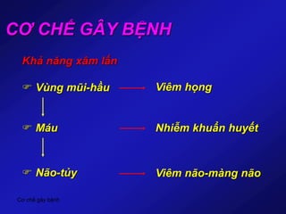 Cơ chế gây bệnh
CƠ CHẾ GÂY BỆNH
Khả năng xâm lấn
 Vùng mũi-hầu
 Máu
 Não-tủy
Viêm họng
Nhiễm khuẩn huyết
Viêm não-màng não
 