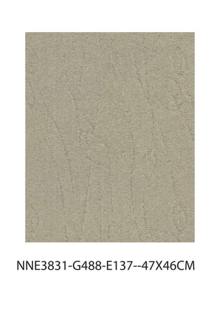 NNE3831-G488-E137--47X46CM
 