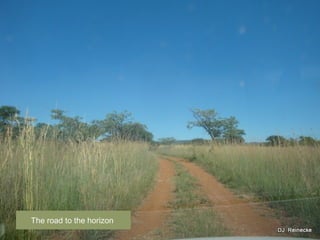 The road to the horizon
 