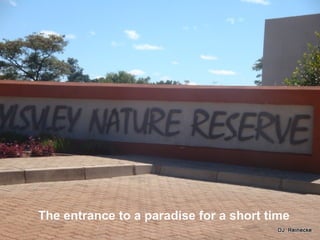 The entrance to a paradise for a short time
 