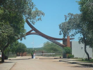 Nylsvlei