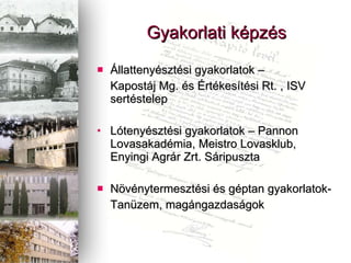 Gyakorlati kpzs ?llattenysztsi gyakorlatok C  Kapostj Mg. s ?rtkestsi Rt. , ISV sertstelep Ltenysztsi gyakorlatok C Pannon Lovasakadmia, Meistro Lovasklub, Enyingi Agrr Zrt. Sripuszta N?vnytermesztsi s gptan gyakorlatok- Tanzem, magngazdasgok 