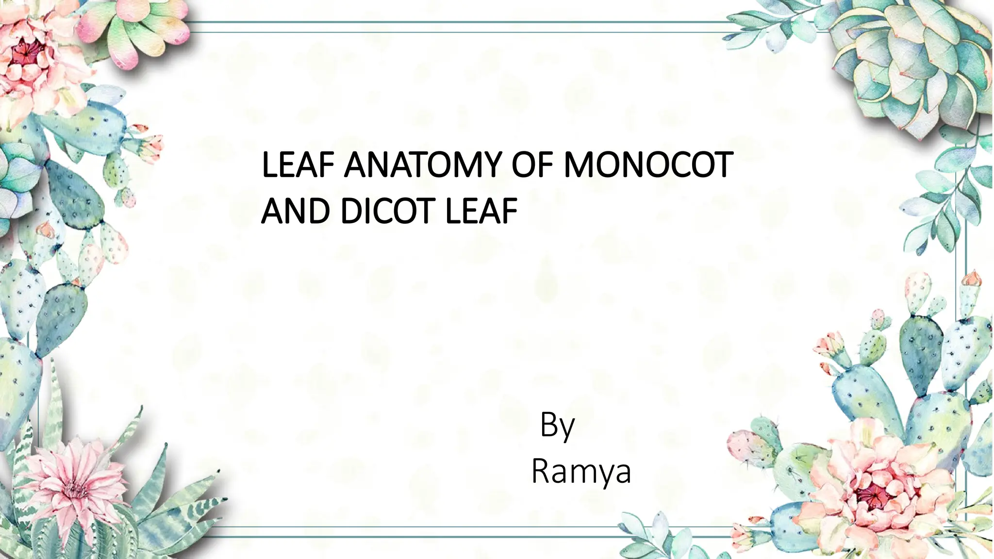 Leaf anatomy of divot,monocot leaf ,and examples | PPTX