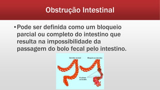 Obstrução Intestinal
▪Pode ser definida como um bloqueio
parcial ou completo do intestino que
resulta na impossibilidade da
passagem do bolo fecal pelo intestino.
 