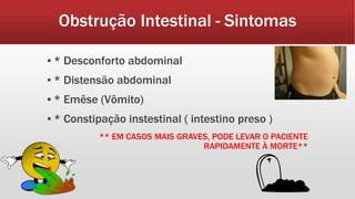 Obstrução Intestinal - Sintomas
▪ * Desconforto abdominal
▪ * Distensão abdominal
▪ * Emêse (Vômito)
▪ * Constipação instestinal ( intestino preso )
** EM CASOS MAIS GRAVES, PODE LEVAR O PACIENTE
RAPIDAMENTE À MORTE**
 