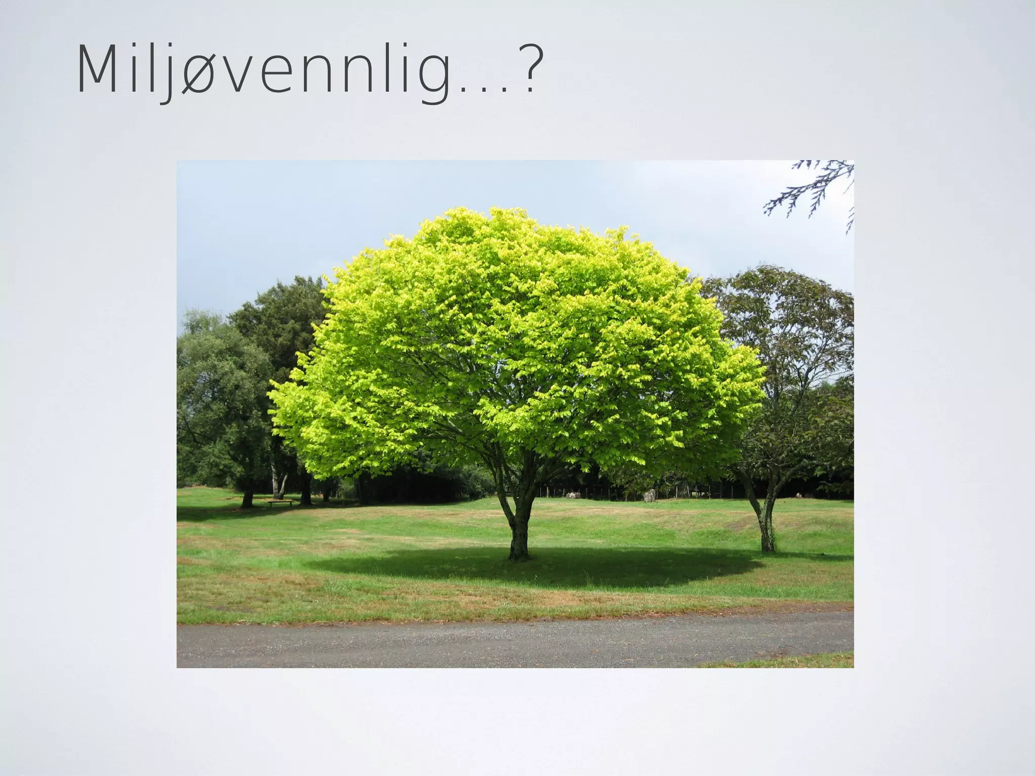 Miljøvennlig...?
 