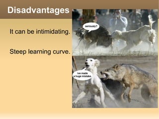 Disadvantages It can be intimidating. Steep learning curve. 