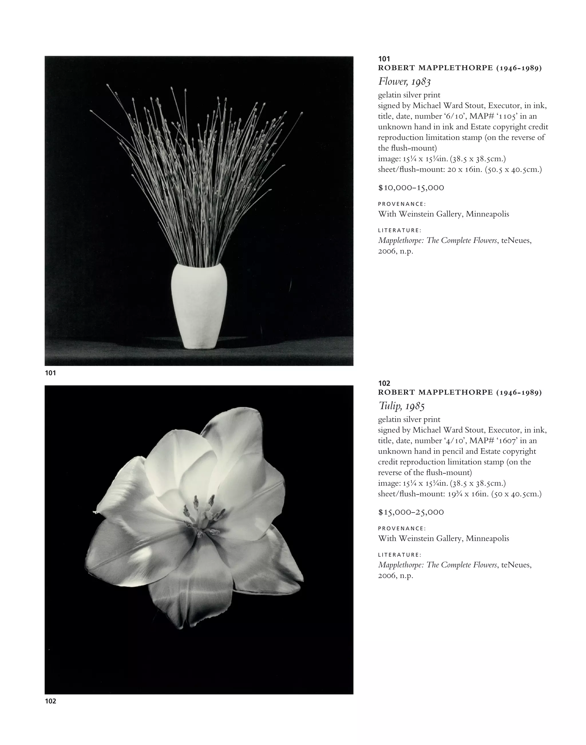 Photographs PDF 