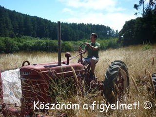 Köszönöm a figyelmet! 

 