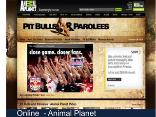 Online  - Animal Planet<br />
