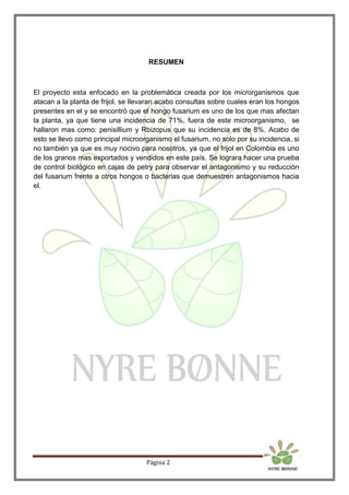 Página 2
RESUMEN
El proyecto esta enfocado en la problemática creada por los microrganismos que
atacan a la planta de frijol, se llevaran acabo consultas sobre cuales eran los hongos
presentes en el y se encontró que el hongo fusarium es uno de los que mas afectan
la planta, ya que tiene una incidencia de 71%, fuera de este microorganismo, se
hallaron mas como: penisillium y Rbizopus que su incidencia es de 8%. Acabo de
esto se llevo como principal microorganismo el fusarium, no solo por su incidencia, si
no también ya que es muy nocivo para nosotros, ya que el frijol en Colombia es uno
de los granos mas exportados y vendidos en este país. Se lograra hacer una prueba
de control biológico en cajas de petry para observar el antagonismo y su reducción
del fusarium frente a otros hongos o bacterias que demuestren antagonismos hacia
el.
 