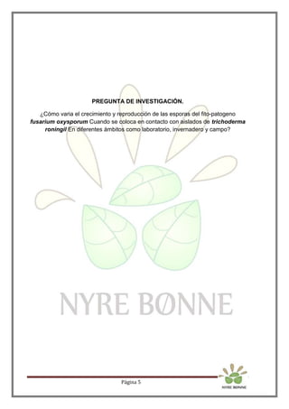 Página 5
PREGUNTA DE INVESTIGACIÓN.
¿Cómo varia el crecimiento y reproducción de las esporas del fito-patogeno
fusarium oxysporum Cuando se coloca en contacto con aislados de trichoderma
roningil En diferentes ámbitos como laboratorio, invernadero y campo?
 