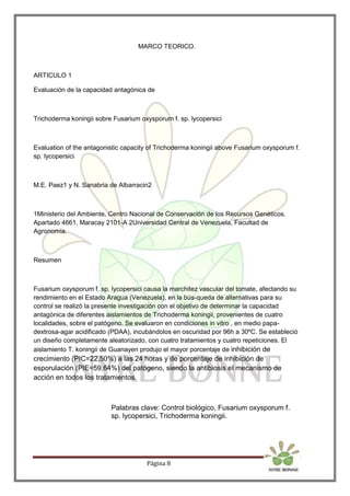 Página 8
MARCO TEORICO.
ARTICULO 1
Evaluación de la capacidad antagónica de
Trichoderma koningii sobre Fusarium oxysporum f. sp. lycopersici
Evaluation of the antagonistic capacity of Trichoderma koningii above Fusarium oxysporum f.
sp. lycopersici
M.E. Paez1 y N. Sanabria de Albarracin2
1Ministerio del Ambiente, Centro Nacional de Conservación de los Recursos Genéticos.
Apartado 4661, Maracay 2101-A 2Universidad Central de Venezuela, Facultad de
Agronomía.
Resumen
Fusarium oxysporum f. sp. lycopersici causa la marchitez vascular del tomate, afectando su
rendimiento en el Estado Aragua (Venezuela), en la bús-queda de alternativas para su
control se realizó la presente investigación con el objetivo de determinar la capacidad
antagónica de diferentes aislamientos de Trichoderma koningii, provenientes de cuatro
localidades, sobre el patógeno. Se evaluaron en condiciones in vitro , en medio papa-
dextrosa-agar acidificado (PDAA), incubándolos en oscuridad por 96h a 30ºC. Se estableció
un diseño completamente aleatorizado, con cuatro tratamientos y cuatro repeticiones. El
aislamiento T. koningii de Guanayen produjo el mayor porcentaje de inhibición de
crecimiento (PIC=22,50%) a las 24 horas y de porcentaje de inhibición de
esporulación (PIE=59,64%) del patógeno, siendo la antibiosis el mecanismo de
acción en todos los tratamientos.
Palabras clave: Control biológico, Fusarium oxysporum f.
sp. lycopersici, Trichoderma koningii.
 