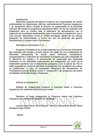 Página 9
Introducción
Diferentes especies del género Fusarium son responsables de causar
enfermedades en importantes culti-vos, particularmente Fusarium oxysporum
f. sp. lycopersici (Sacc.) Snyder & Hansen, es responsable de la marchitez
vascular del tomate (Lycopersicon esculentum Mill.). En-tre los métodos más
empleados para su control esta la aplicación de agroquímicos con la
obtención de re-sultados desfavorables para el am-biente y la población, por lo
cual sur-gen alternativas como el control bio-lógico dentro de un manejo
integrado de enfermedades, a través del uso de bacterias del género
Pseudomonas y hongos como Trichoderma,
Gliocadium y Penicillium (1, 2).
El género Trichoderma es el más empleado en el control de enfermeda-
des causadas por hongos y puede ac-tuar por medio de una combinación de
diferentes mecanismos de acción como antibiosis, competencia,
micoparasitismo e inducción de resis-tencia a la planta que van a depender de
la diferencia en cuanto a la pro-ducción de sustancias con capacidad
inhibitoria en los diferentes aisla-mientos del antagonista, así como de la
interacción existente con el aisla-miento patógeno y con la planta (3). Por lo
antes expuesto se realizó la pre-sente investigación con el objetivo de evaluar
en condiciones in vitro la ca-pacidad antagónica de aislamientos de
Trichoderma koningii Oudem, so-bre F. oxysporum f. sp. lycopersici de cuatro
localidades del Estado Aragua, Venezuela.
Artículo en portugués 2
Seleção de antagonistas fúngicos a Fusarium solani e Fusarium
oxysporum em substrato comercial para mudas
Selection of fungi antagonistic to Fusarium solani and Fusarium
oxysporum in commercial substrate for seedlings
Luciana Zago EthurI Elena BlumeI* Marlove Fátima Brião MunizI Maria
Georgina Veiga FloresI
- NOTA -
 