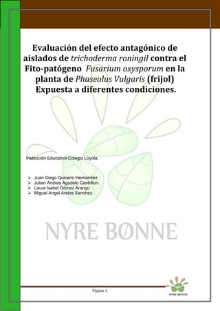PDF) Supressividade a fitopatógenos habitantes do solo
