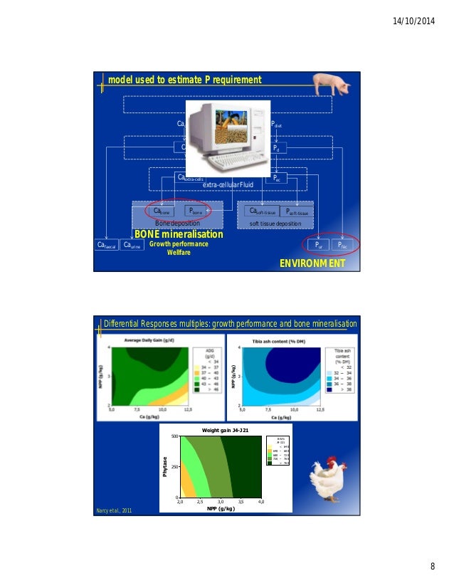 Adapting mineral nutrition of monogastric animals for optimizing envi…