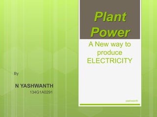 Plant
Power
A New way to
produce
ELECTRICITY
By
N YASHWANTH
134G1A0291
yashwanth
 