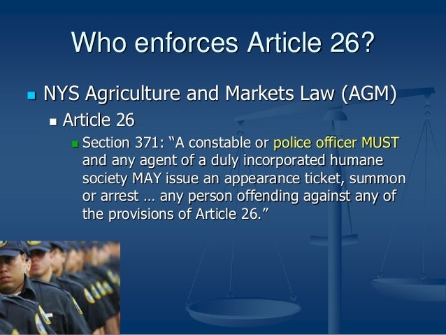 Key Animal Laws in New York State Pertaining to Cats