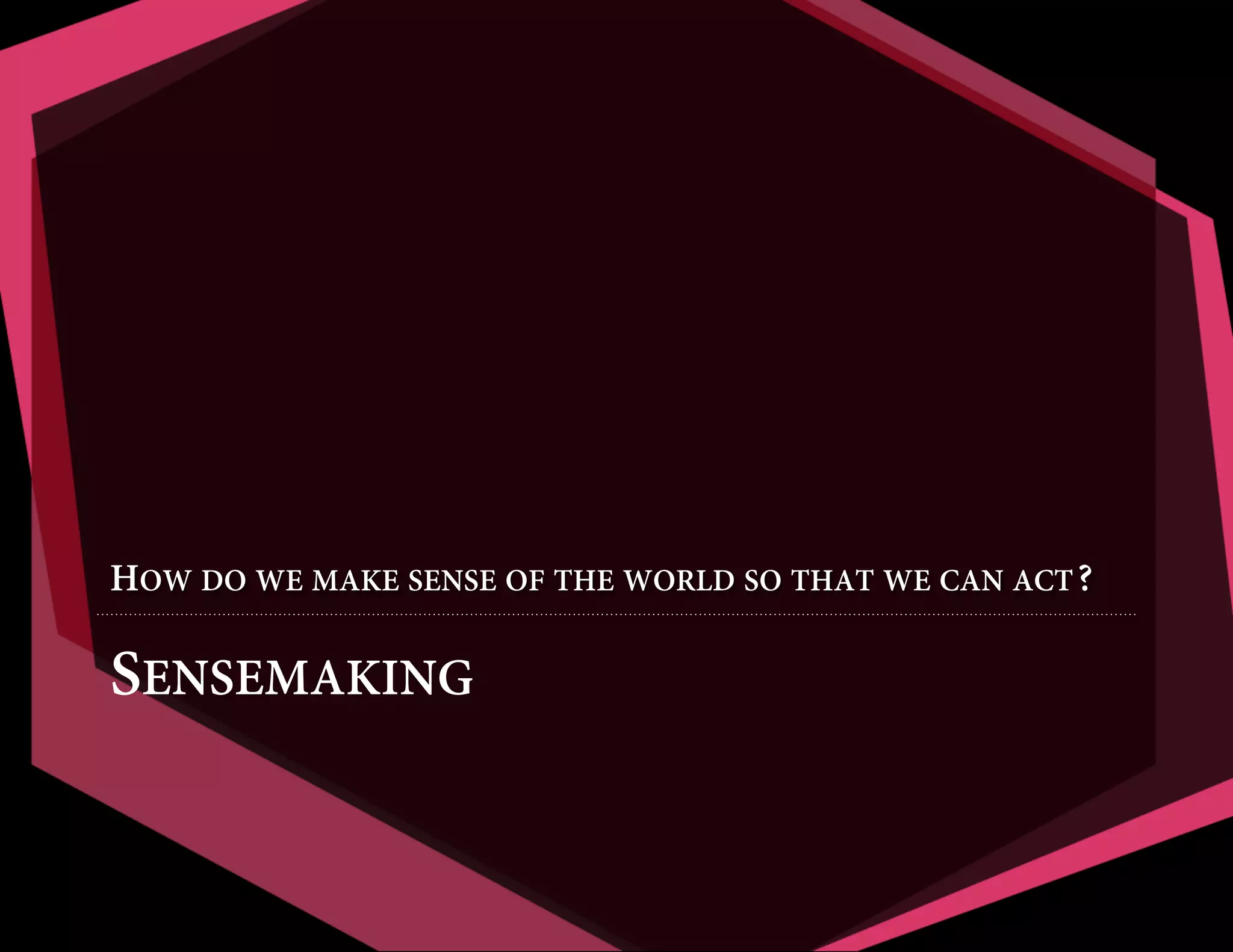 HOW DO WE MAKE SENSE OF THE WORLD SO THAT WE CAN ACT?

SENSEMAKING

 