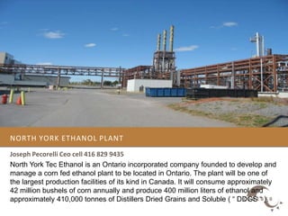 North York Ethanol plant Joseph Pecorelli Ceo cell 416 829 9435 North York Tec Ethanol is an Ontario incorporated company founded to develop and manage a corn fed ethanol plant to be located in Ontario. The plant will be one of the largest production facilities of its kind in Canada. It will consume approximately 42 million bushels of corn annually and produce 400 million liters of ethanol and approximately 410,000 tonnes of Distillers Dried Grains and Soluble ( “ DDGS “ ). 