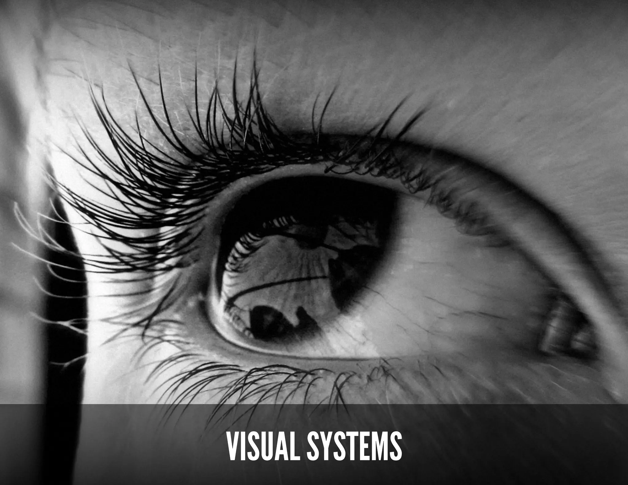 PEOPLE CRAVE DOPAMINE