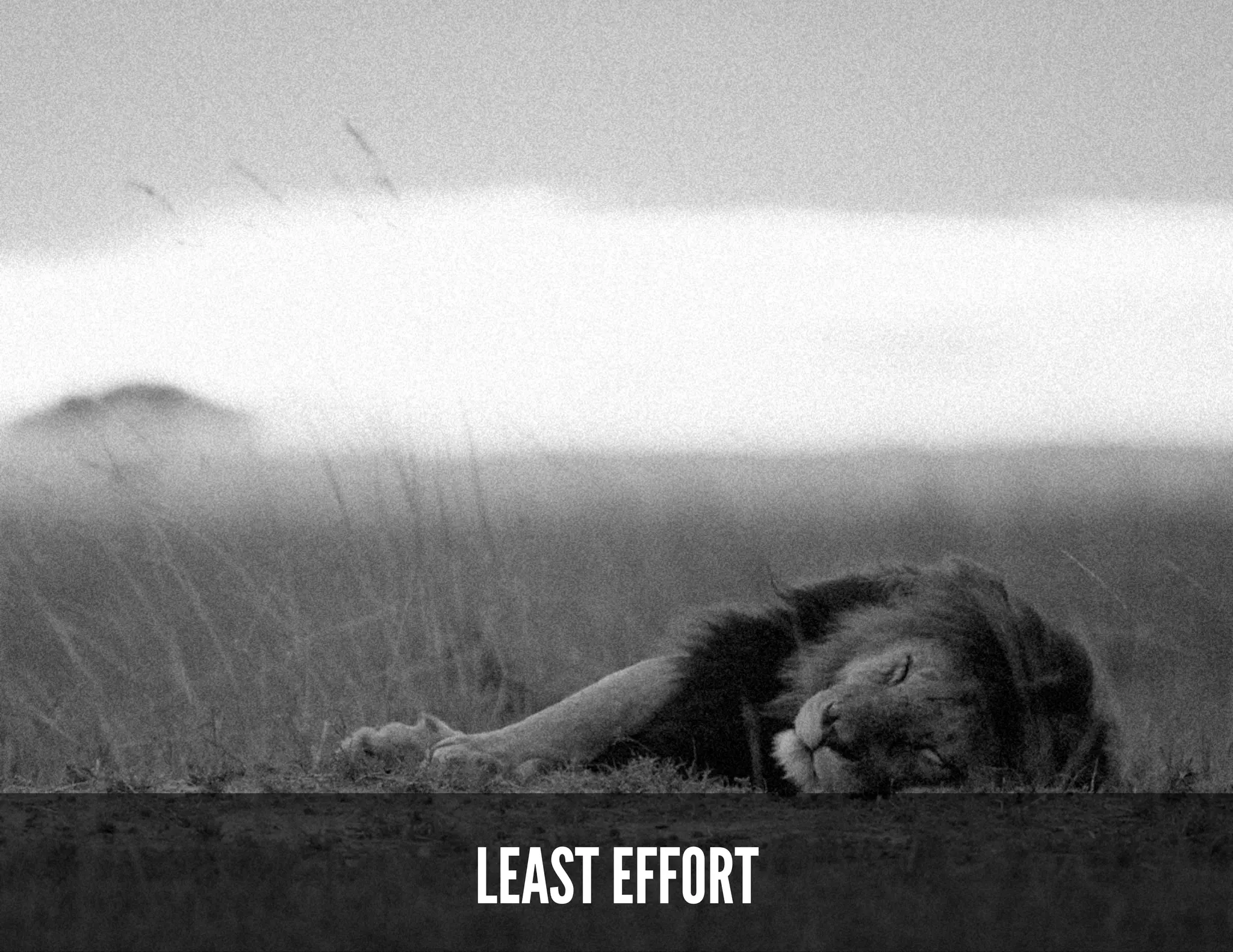 CONSIDERATIONS OF COGNITION