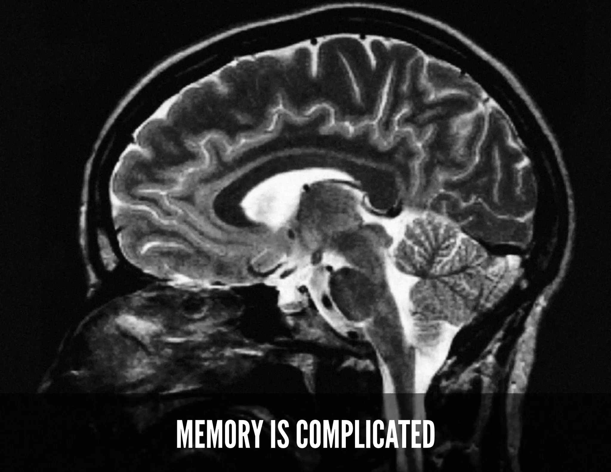 PEOPLE MAKE MISTAKES