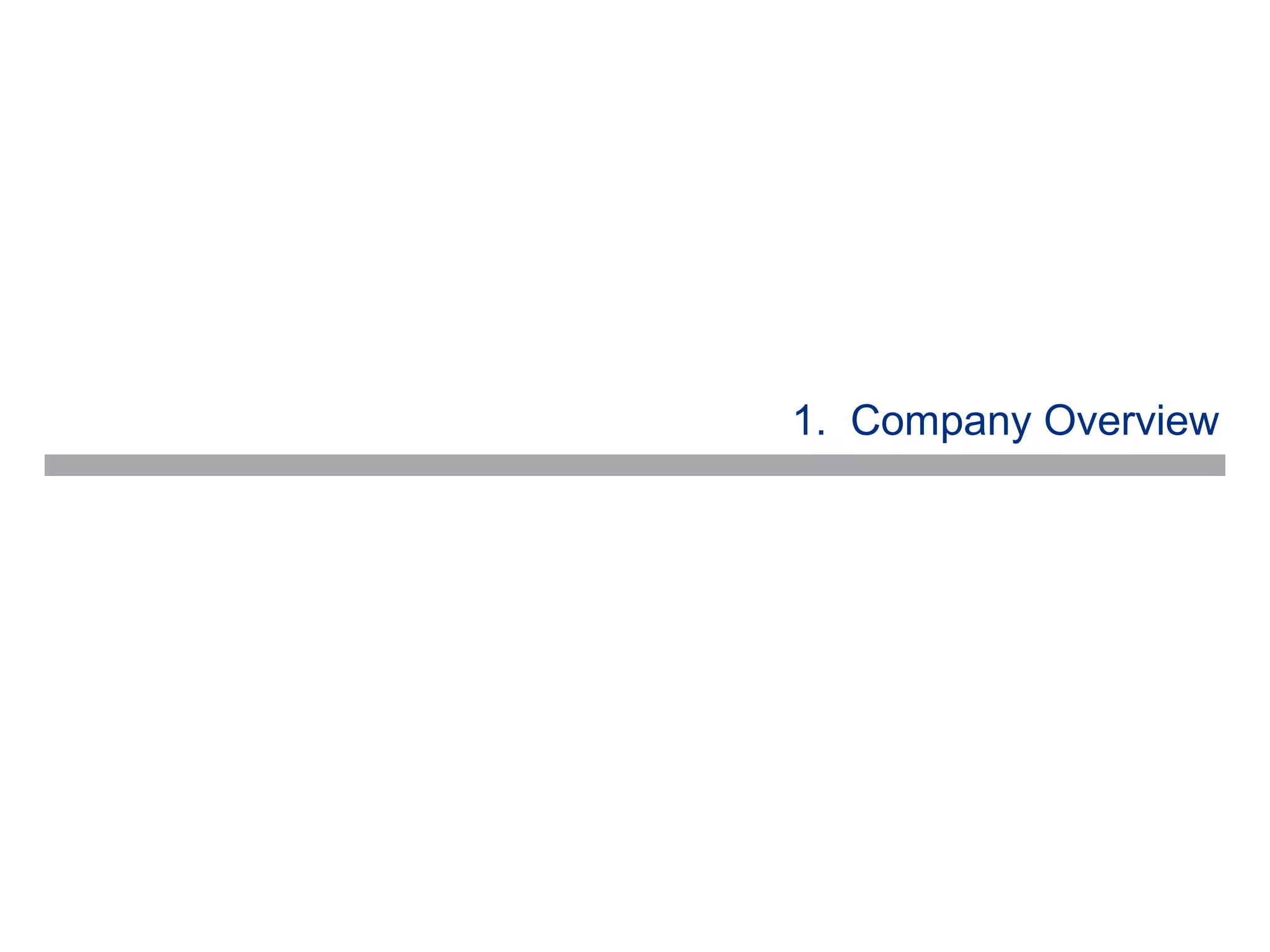 1. Company Overview
 