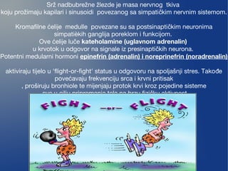 Srž nadbubrežne žlezde je masa nervnog tkiva
koju prožimaju kapilari i sinusoidi povezanog sa simpati kim nervnim sistemom.č
Kromafilne ćelije  medulle  povezane su sa postsinapti kim neuronimač
simpatièkih ganglija poreklom i funkcijom.
Ove ćelije lu eč kateholamine (uglavnom adrenalin)
u krvotok u odgovor na signale iz presinapti kih neurona.č
Potentni medularni hormoni epinefrin (adrenalin) i noreprinefrin (noradrenalin)
aktiviraju tijelo u 'flight-or-fight' status u odgovoru na spoljašnji stres. Tako eđ
povećavaju frekvenciju srca i krvni pritisak
, proširuju bronhiole te mijenjaju protok krvi kroz pojedine sisteme
, sve u cilju pripremanja tela na brzu fizi ku aktivnost.č
 