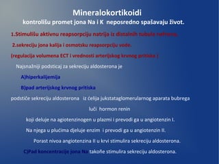 1.Stimulišu aktivnu reapsorpciju natrija iz distalnih tubula nefrona,
2.sekreciju jona kalija i osmotsku reapsorpciju vode.
(regulacija volumena ECT i vrednosti arterijskog krvnog pritiska )
Najsnažniji podsticaj za sekreciju aldosterona je
A)hiperkalijemija
B)pad arterijskog krvnog pritiska
podstiče sekreciju aldosterona iz ćelija jukstataglomerularnog aparata bubrega
luči hormon renin
koji deluje na agiotenzinogen u plazmi i prevodi ga u angiotenzin I.
Na njega u plućima djeluje enzim i prevodi ga u angiotenzin II.
Porast nivoa angiotenzina II u krvi stimulira sekreciju aldosterona.
C)Pad koncentracije jona Na takoñe stimulira sekreciju aldosterona.
Mineralokortikoidi
kontrolišu promet jona Na i K neposredno spašavaju život.
 