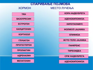 TRH
КОРТИЗОЛ
ГЛУКАГОН
ПРОГЕСТЕРОН
ПРОЛАКТИН
ВАЗОПРЕСИН
АДРЕНАЛИН
МЕЛАТОНИН
ЕСТРОГЕН
КАЛЦИТОНИН
КОРА НАДБУБРЕГА
ЕПИФИЗА
ЖУТО ТЕЛО ЈАЈНИКА
ПАНКРЕАС
ТИРЕОИДЕА
АДЕНОХИПОФИЗА
СРЖ НАДБУБРЕГА
АДЕНОХИПОФИЗА
ХИПОТАЛАМУС
ФОЛИКУЛ ЈАЈНИКА
СПАРИВАЊЕ ПОЈМОВА
ХОРМОН МЕСТО ЛУЧЕЊА
 