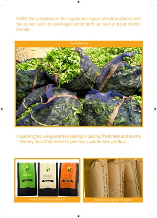 NZAR Teas Brochure - May 2015 | PDF