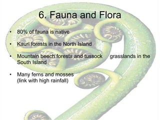 6. Fauna and Flora 80% of fauna is native Kauri forests in the North Island  Mountain beech forests and tussock  grasslands in the South Island  Many ferns and mosses  (link with high rainfall) 