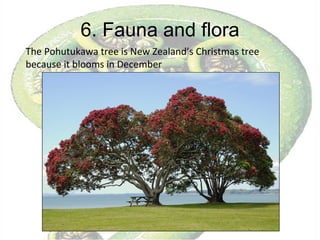 6. Fauna and flora The Pohutukawa tree is New Zealand’s Christmas tree because it blooms in December 