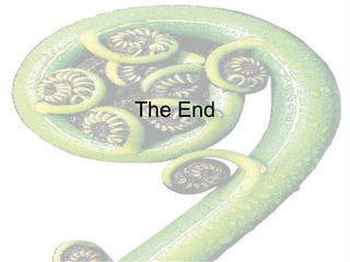 The End 