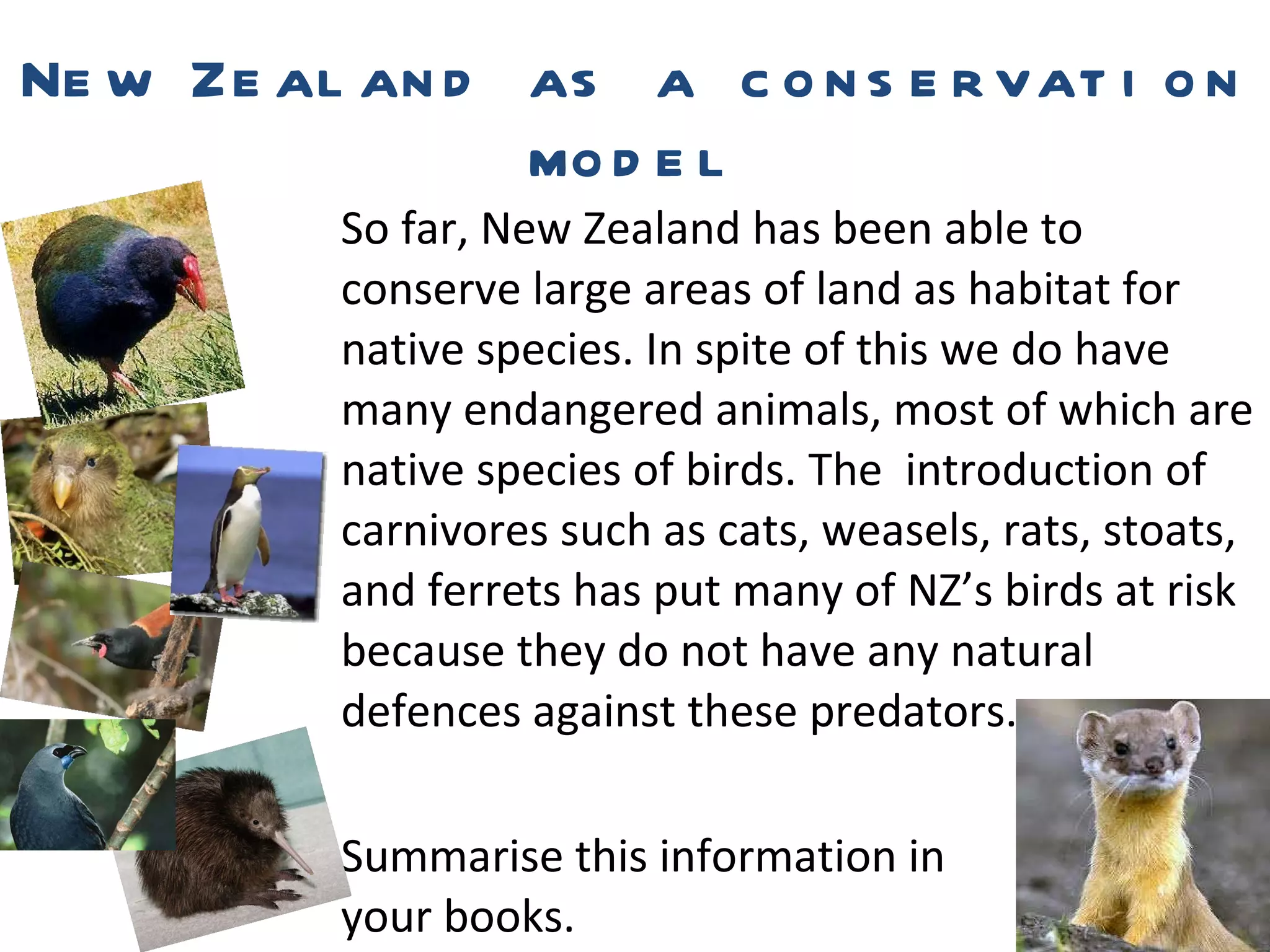 So far, New Zealand has been able to conserve large areas of land as habitat for native species. In spite of this we do have many endangered animals, most of which are native species of birds. The  introduction of carnivores such as cats, weasels, rats, stoats, and ferrets has put many of NZ’s birds at risk because they do not have any natural defences against these predators. Summarise this information in your books. New Zealand as a conservation model 