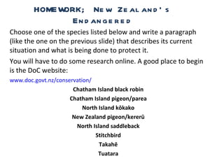 HOMEWORK; New Zealand’s Endangered Choose one of the species listed below and write a paragraph (like the one on the previous slide) that describes its current situation and what is being done to protect it.  You will have to do some research online. A good place to begin is the DoC website: www.doc.govt.nz/conservation/ Chatham Island black robin Chatham Island pigeon/parea North Island kōkako New Zealand pigeon/kererū North Island saddleback Stitchbird Takahē Tuatara 