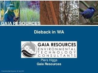 Presented at Gaia Resources, 18th July, 2016
GAIA RESOURCES
Dieback in WA

Piers Higgs
Gaia Resources
 
