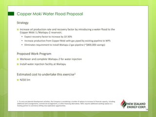 Copper Moki Water Flood Proposal
Strategy
 Increase oil production rate and recovery factor by introducing a water flood to the
Copper Moki 1 /Waitapu-2 reservoir;
• Expect recovery factor to increase by 10-30%
• Increase production from Copper Moki with gas piped by existing pipeline to WPS
• Eliminates requirement to install Waitapu-2 gas pipeline (~$800,000 savings)
Proposed Work Program
 Workover and complete Waitapu-2 for water injection
 Install water injection facility at Waitapu
Estimated cost to undertake this exercise1
 NZ$0.5m
18
1. To carry out planned development activities, the Company is considering a number of options to increase its financial capacity, including
additional joint arrangements, commercial arrangements, or other financing alternatives. NZEC requires additional working capital or a
funding partner to commence drilling new exploration opportunities.
 