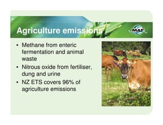 Agriculture emissions
• Methane from enteric
  fermentation and animal
  waste
• Nitrous oxide from fertiliser,
  dung and urine
• NZ ETS covers 96% of
  agriculture emissions
 