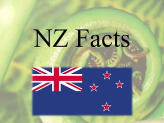 NZ Facts 