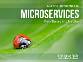 A Gentle Introduction to Micro Services - From Theory into Practice