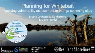 Planning for Whitebait
Applying vulnerability assessment to īnanga spawning sites
Shane Orchard, Mike Hickford
& David Schiel
 