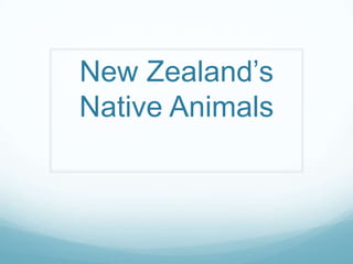 New Zealand’s
Native Animals
 
