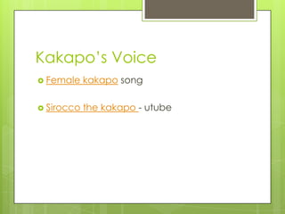 Kakapo’s Voice
 Female

kakapo song

 Sirocco

the kakapo - utube

 