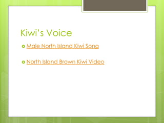 Kiwi’s Voice
 Male

North Island Kiwi Song

 North

Island Brown Kiwi Video

 