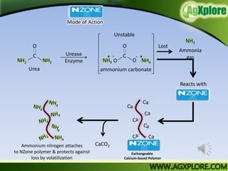 Mode of Action

                                              Unstable
                                                                             NH3
        O                                        O                  Lost
                                                                           Ammonia
        C              Urease             - +    C    - +                    gas
 NH2          NH2      Enzyme           NH4 O        O NH4
       Urea                            ammonium carbonate

                                                                           Reacts with




    Ammonium nitrogen attaches        CaCO2
to NZone polymer & protects against                   Exchangeable
       loss by volatilization                    Calcium-based Polymer
 